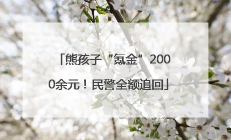 熊孩子“氪金”2000余元！民警全额追回