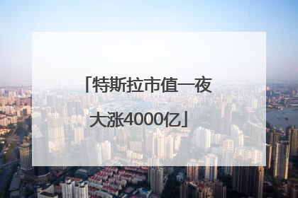 特斯拉市值一夜大涨4000亿