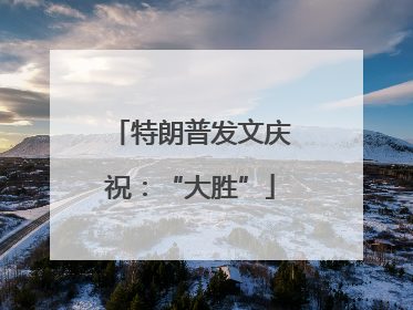 特朗普发文庆祝：“大胜”