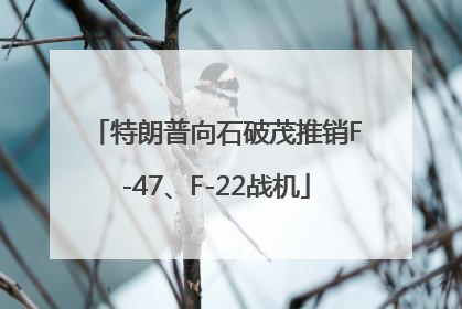 特朗普向石破茂推销F-47、F-22战机