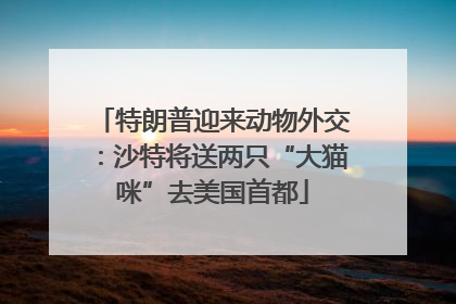 特朗普迎来动物外交：沙特将送两只“大猫咪”去美国首都
