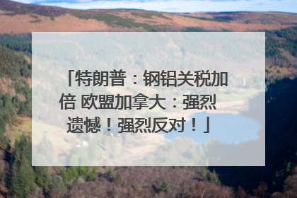 特朗普：钢铝关税加倍 欧盟加拿大：强烈遗憾！强烈反对！