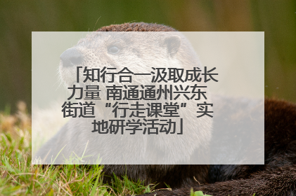 知行合一汲取成长力量 南通通州兴东街道“行走课堂”实地研学活动