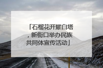 石榴花开耀白塔，新街口举办民族共同体宣传活动
