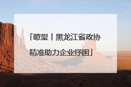瞭望丨黑龙江省政协精准助力企业纾困