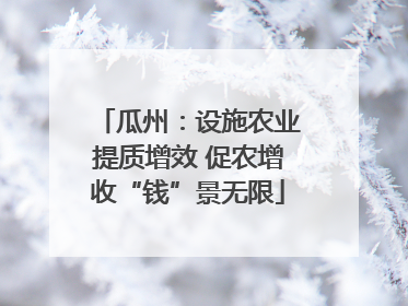 瓜州：设施农业提质增效 促农增收“钱”景无限