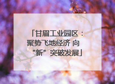 甘眉工业园区：聚势飞地经济 向“新”突破发展
