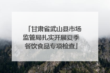 甘肃省武山县市场监管局扎实开展夏季餐饮食品专项检查