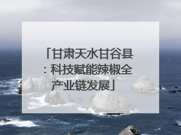 甘肃天水甘谷县：科技赋能辣椒全产业链发展