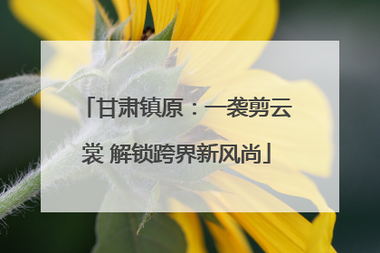 甘肃镇原：一袭剪云裳 解锁跨界新风尚