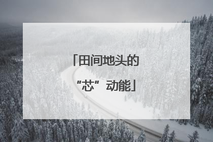田间地头的“芯”动能