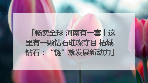 畅卖全球 河南有一套丨这里有一颗钻石璀璨夺目 柘城钻石：“链”就发展新动力