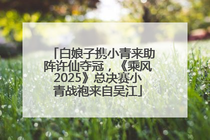 白娘子携小青来助阵许仙夺冠，《乘风2025》总决赛小青战袍来自吴江