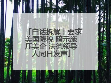 白话拆解丨要求美国降税 暗示施压美企 法德领导人同日发声