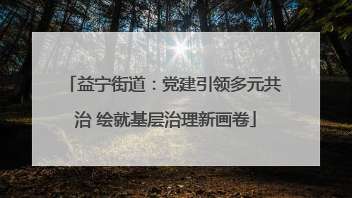 益宁街道：党建引领多元共治 绘就基层治理新画卷