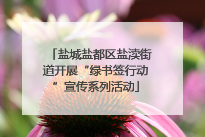 盐城盐都区盐渎街道开展“绿书签行动”宣传系列活动