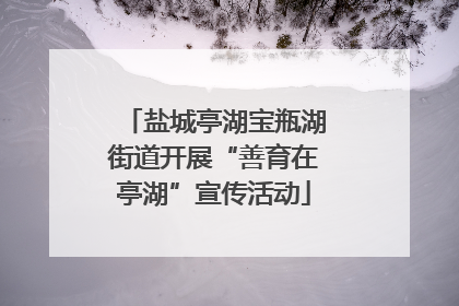 盐城亭湖宝瓶湖街道开展“善育在亭湖”宣传活动