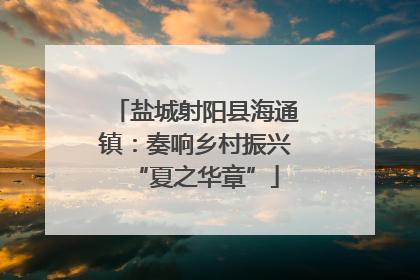 盐城射阳县海通镇：奏响乡村振兴“夏之华章”
