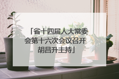 省十四届人大常委会第十六次会议召开 胡昌升主持