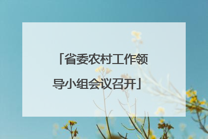 省委农村工作领导小组会议召开