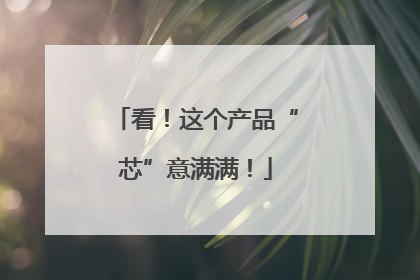 看！这个产品“芯”意满满！