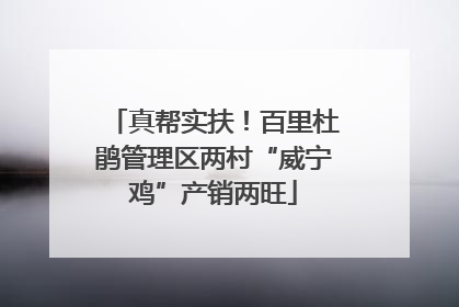 真帮实扶！百里杜鹃管理区两村“威宁鸡”产销两旺