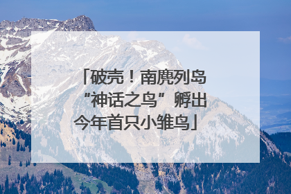破壳！南麂列岛“神话之鸟”孵出今年首只小雏鸟
