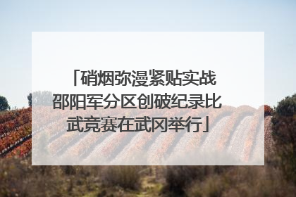 硝烟弥漫紧贴实战 邵阳军分区创破纪录比武竞赛在武冈举行