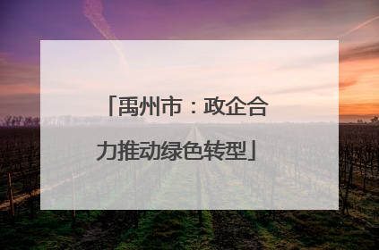 禹州市：政企合力推动绿色转型