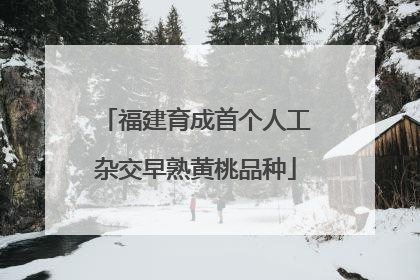 福建育成首个人工杂交早熟黄桃品种