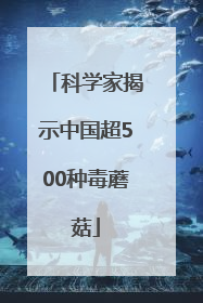 科学家揭示中国超500种毒蘑菇