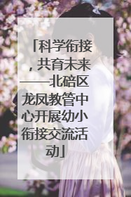 科学衔接，共育未来——北碚区龙凤教管中心开展幼小衔接交流活动