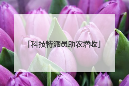 科技特派员助农增收