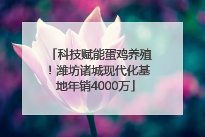 科技赋能蛋鸡养殖！潍坊诸城现代化基地年销4000万