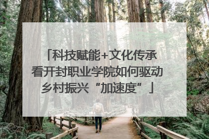 科技赋能+文化传承 看开封职业学院如何驱动乡村振兴“加速度”