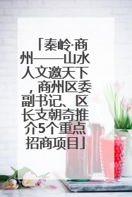 秦岭·商州——山水人文邀天下，商州区委副书记、区长支朝奇推介5个重点招商项目