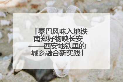 秦巴风味入地铁 南郑好物映长安——西安地铁里的城乡融合新实践