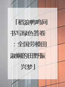 稻浪鸭鸣间书写绿色答卷：全国劳模田淑娴的田野振兴梦