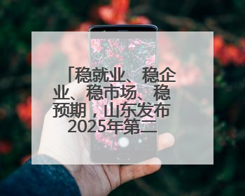 稳就业、稳企业、稳市场、稳预期，山东发布2025年第二批政策清单