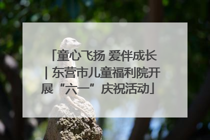 童心飞扬 爱伴成长｜东营市儿童福利院开展“六一”庆祝活动