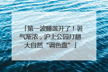 第一波睡莲开了！暑气渐浓，沪上公园打翻大自然“调色盘”