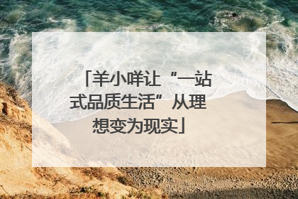 羊小咩让“一站式品质生活”从理想变为现实