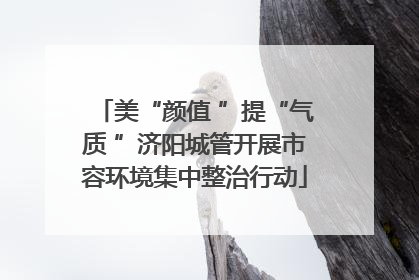 美“颜值 ”提“气质 ”济阳城管开展市容环境集中整治行动