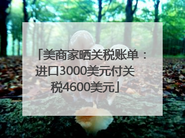 美商家晒关税账单：进口3000美元付关税4600美元