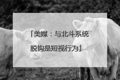 美媒：与北斗系统脱钩是短视行为