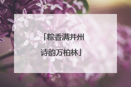 粽香满并州 诗韵万柏林