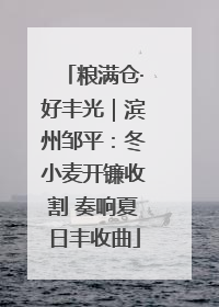 粮满仓·好丰光｜滨州邹平：冬小麦开镰收割 奏响夏日丰收曲