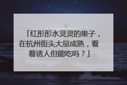 红彤彤水灵灵的果子，在杭州街头大量成熟，看着诱人但能吃吗？