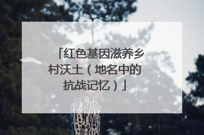 红色基因滋养乡村沃土（地名中的抗战记忆）
