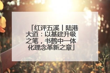红评五溪丨陆港大道：以基建升级之笔，书鹤中一体化理念革新之章